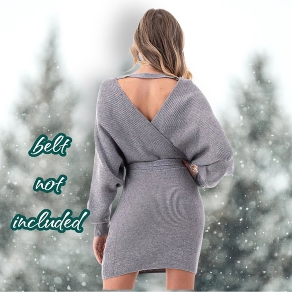 PETAL Roz Silver Gray Vneck Bodycon Sweater Dress Size Large - Picture 6 of 13